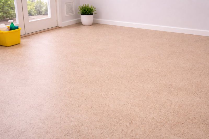 Sheet Linoleum Installation in Wimauma, FL